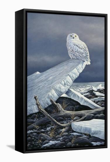 Lakeshore Ice-Wilhelm Goebel-Framed Stretched Canvas