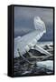Lakeshore Ice-Wilhelm Goebel-Framed Stretched Canvas