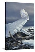 Lakeshore Ice-Wilhelm Goebel-Stretched Canvas
