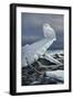 Lakeshore Ice-Wilhelm Goebel-Framed Giclee Print