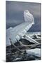 Lakeshore Ice-Wilhelm Goebel-Mounted Giclee Print