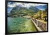 Lakeshore Scenic, Menaggio, Italy-George Oze-Framed Photographic Print