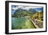 Lakeshore Scenic, Menaggio, Italy-George Oze-Framed Photographic Print