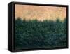 Lakeshore Sunrise-James W Johnson-Framed Stretched Canvas