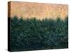 Lakeshore Sunrise-James W Johnson-Stretched Canvas