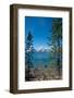Lakeshore Trail, Colter Bay, Grand Tetons National Park, Wyoming, USA-Roddy Scheer-Framed Photographic Print