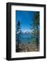 Lakeshore Trail, Colter Bay, Grand Tetons National Park, Wyoming, USA-Roddy Scheer-Framed Photographic Print