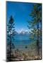 Lakeshore Trail, Colter Bay, Grand Tetons National Park, Wyoming, USA-Roddy Scheer-Mounted Photographic Print