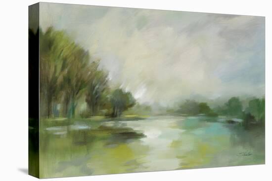 Lakeside Fog-Silvia Vassileva-Stretched Canvas