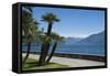 Lakeside Gardens at Menaggio, Lake Como, Italian Lakes, Lombardy, Italy, Europe-James Emmerson-Framed Stretched Canvas