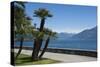 Lakeside Gardens at Menaggio, Lake Como, Italian Lakes, Lombardy, Italy, Europe-James Emmerson-Stretched Canvas