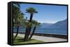 Lakeside Gardens at Menaggio, Lake Como, Italian Lakes, Lombardy, Italy, Europe-James Emmerson-Framed Stretched Canvas