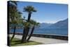 Lakeside Gardens at Menaggio, Lake Como, Italian Lakes, Lombardy, Italy, Europe-James Emmerson-Stretched Canvas