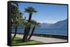 Lakeside Gardens at Menaggio, Lake Como, Italian Lakes, Lombardy, Italy, Europe-James Emmerson-Framed Stretched Canvas