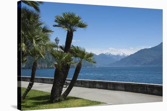 Lakeside Gardens at Menaggio, Lake Como, Italian Lakes, Lombardy, Italy, Europe-James Emmerson-Stretched Canvas
