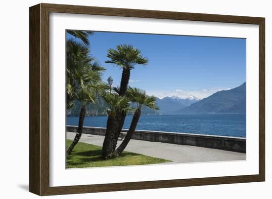 Lakeside Gardens at Menaggio, Lake Como, Italian Lakes, Lombardy, Italy, Europe-James Emmerson-Framed Photographic Print