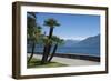 Lakeside Gardens at Menaggio, Lake Como, Italian Lakes, Lombardy, Italy, Europe-James Emmerson-Framed Photographic Print