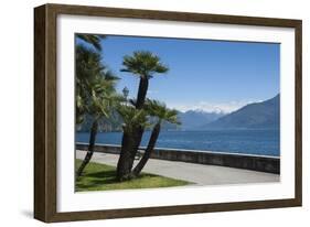 Lakeside Gardens at Menaggio, Lake Como, Italian Lakes, Lombardy, Italy, Europe-James Emmerson-Framed Photographic Print