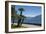 Lakeside Gardens at Menaggio, Lake Como, Italian Lakes, Lombardy, Italy, Europe-James Emmerson-Framed Photographic Print