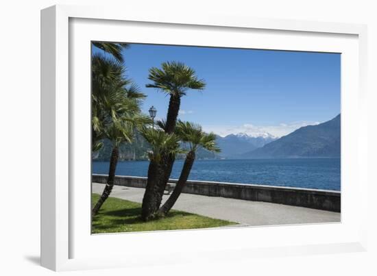 Lakeside Gardens at Menaggio, Lake Como, Italian Lakes, Lombardy, Italy, Europe-James Emmerson-Framed Photographic Print