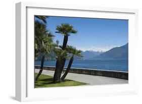 Lakeside Gardens at Menaggio, Lake Como, Italian Lakes, Lombardy, Italy, Europe-James Emmerson-Framed Photographic Print