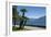 Lakeside Gardens at Menaggio, Lake Como, Italian Lakes, Lombardy, Italy, Europe-James Emmerson-Framed Photographic Print