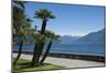 Lakeside Gardens at Menaggio, Lake Como, Italian Lakes, Lombardy, Italy, Europe-James Emmerson-Mounted Photographic Print