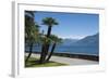 Lakeside Gardens at Menaggio, Lake Como, Italian Lakes, Lombardy, Italy, Europe-James Emmerson-Framed Photographic Print