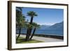 Lakeside Gardens at Menaggio, Lake Como, Italian Lakes, Lombardy, Italy, Europe-James Emmerson-Framed Photographic Print