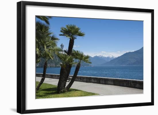 Lakeside Gardens at Menaggio, Lake Como, Italian Lakes, Lombardy, Italy, Europe-James Emmerson-Framed Photographic Print