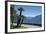 Lakeside Gardens at Menaggio, Lake Como, Italian Lakes, Lombardy, Italy, Europe-James Emmerson-Framed Photographic Print