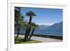Lakeside Gardens at Menaggio, Lake Como, Italian Lakes, Lombardy, Italy, Europe-James Emmerson-Framed Photographic Print