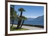 Lakeside Gardens at Menaggio, Lake Como, Italian Lakes, Lombardy, Italy, Europe-James Emmerson-Framed Photographic Print