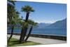 Lakeside Gardens at Menaggio, Lake Como, Italian Lakes, Lombardy, Italy, Europe-James Emmerson-Mounted Photographic Print