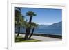 Lakeside Gardens at Menaggio, Lake Como, Italian Lakes, Lombardy, Italy, Europe-James Emmerson-Framed Photographic Print