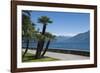 Lakeside Gardens at Menaggio, Lake Como, Italian Lakes, Lombardy, Italy, Europe-James Emmerson-Framed Photographic Print