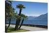 Lakeside Gardens at Menaggio, Lake Como, Italian Lakes, Lombardy, Italy, Europe-James Emmerson-Stretched Canvas