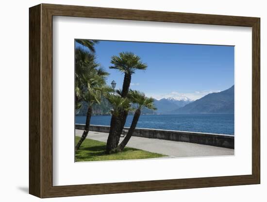 Lakeside Gardens at Menaggio, Lake Como, Italian Lakes, Lombardy, Italy, Europe-James Emmerson-Framed Photographic Print