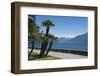 Lakeside Gardens at Menaggio, Lake Como, Italian Lakes, Lombardy, Italy, Europe-James Emmerson-Framed Photographic Print