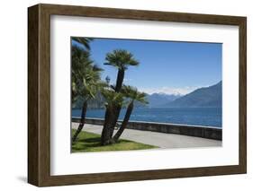 Lakeside Gardens at Menaggio, Lake Como, Italian Lakes, Lombardy, Italy, Europe-James Emmerson-Framed Photographic Print