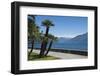 Lakeside Gardens at Menaggio, Lake Como, Italian Lakes, Lombardy, Italy, Europe-James Emmerson-Framed Photographic Print