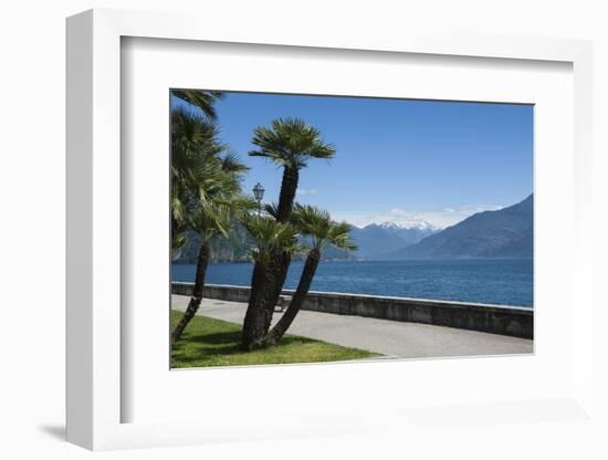 Lakeside Gardens at Menaggio, Lake Como, Italian Lakes, Lombardy, Italy, Europe-James Emmerson-Framed Photographic Print