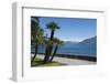 Lakeside Gardens at Menaggio, Lake Como, Italian Lakes, Lombardy, Italy, Europe-James Emmerson-Framed Photographic Print