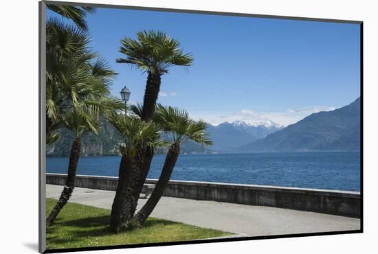 Lakeside Gardens at Menaggio, Lake Como, Italian Lakes, Lombardy, Italy, Europe-James Emmerson-Mounted Photographic Print