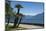 Lakeside Gardens at Menaggio, Lake Como, Italian Lakes, Lombardy, Italy, Europe-James Emmerson-Mounted Photographic Print