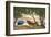 Lakeside I-Graham Reynolds-Framed Art Print