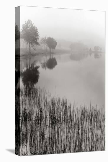 Lakeside Mist-Monte Nagler-Stretched Canvas
