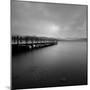 Lakeside Pier 005-Tom Quartermaine-Mounted Giclee Print