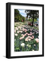 Lakeside Promenade of Locarno, Lake Maggiore, Canton of Ticino, Switzerland-null-Framed Art Print