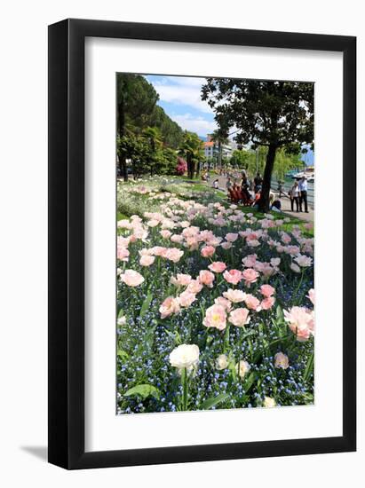 Lakeside Promenade of Locarno, Lake Maggiore, Canton of Ticino, Switzerland-null-Framed Art Print